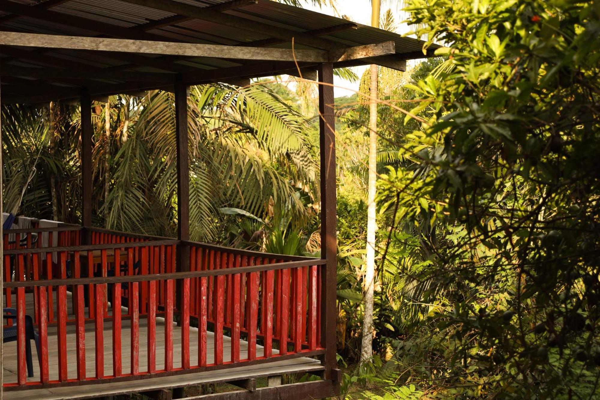 Hotel La Ceiba, Amazonas à Leticia Extérieur photo