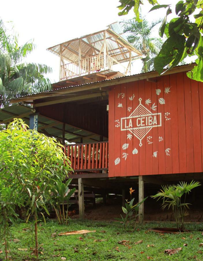 Hotel La Ceiba, Amazonas à Leticia Extérieur photo